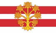 Westmorland Flags